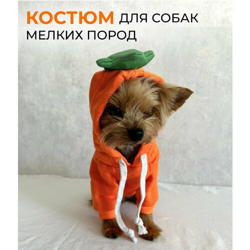 Одежда для собак, костюм оранжевый для собак мелких пород, (худи, толстовка), М, ОГ 40, ДС 26, рукав 11, капюшон 16, ОШ 30