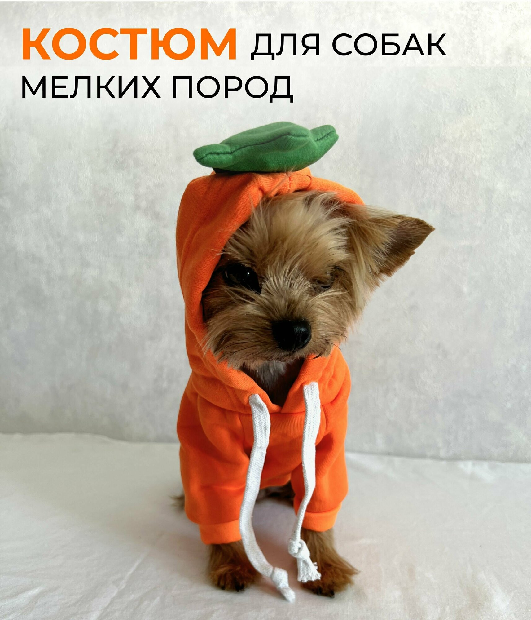 Костюм оранжевый для собак мелких пород, XS (21 см) (худи, толстовка) - фотография № 1