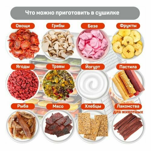 Сушилка для овощей и фруктов PULLMAN PL-1103 белый 9шт 2716500₽