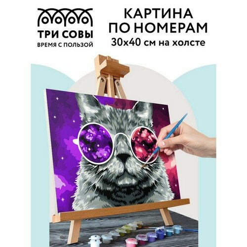 Картина по номерам на холсте 30 × 40 см «Кошачий космос», с акриловыми красками и кистями