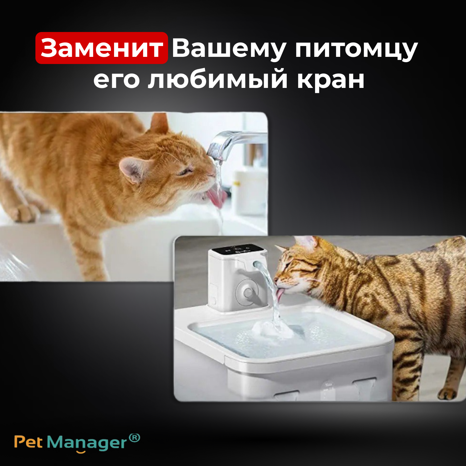 Картинки Поилка для кошек, Поилка автоматическая, Поилка струя, Поилка фонтан, Поилка с сенсорным датчиком движения, Поилка с аккумулятором