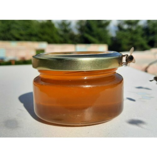 Свежий мёд прямо из улья 150 гр. / мед натуральный 2023 года / мед луговое разнотравие