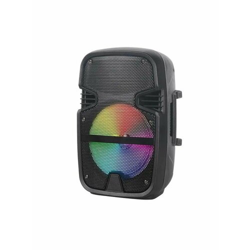 Портативная беспроводная колонка NDR-6008 262000₽