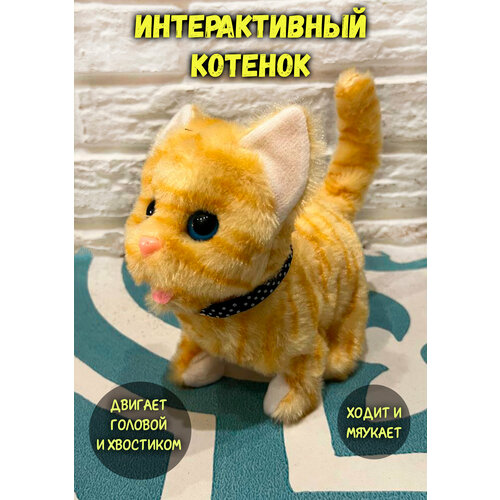 Интерактивный котенок рыжий интерактивный котенок рыжий