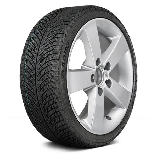 Шина Michelin Pilot Alpin 5 255/40 R19 V 100 - фото №17