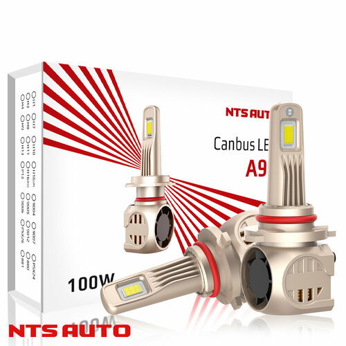 Светодиодные лампы A95 4300K HB4 с обманкой