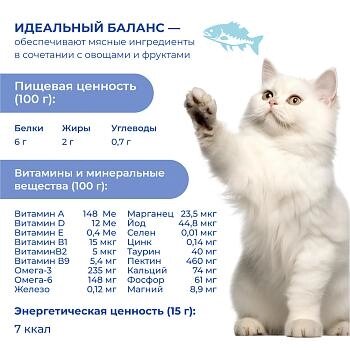 Jarvi крем-суп с филе курицы для кошек и котят - 15 г — фото 1