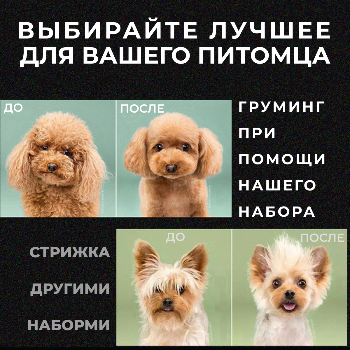 Набор ножниц для стрижки собак мелких, средних и больших пород, набор для груминга — фото 1