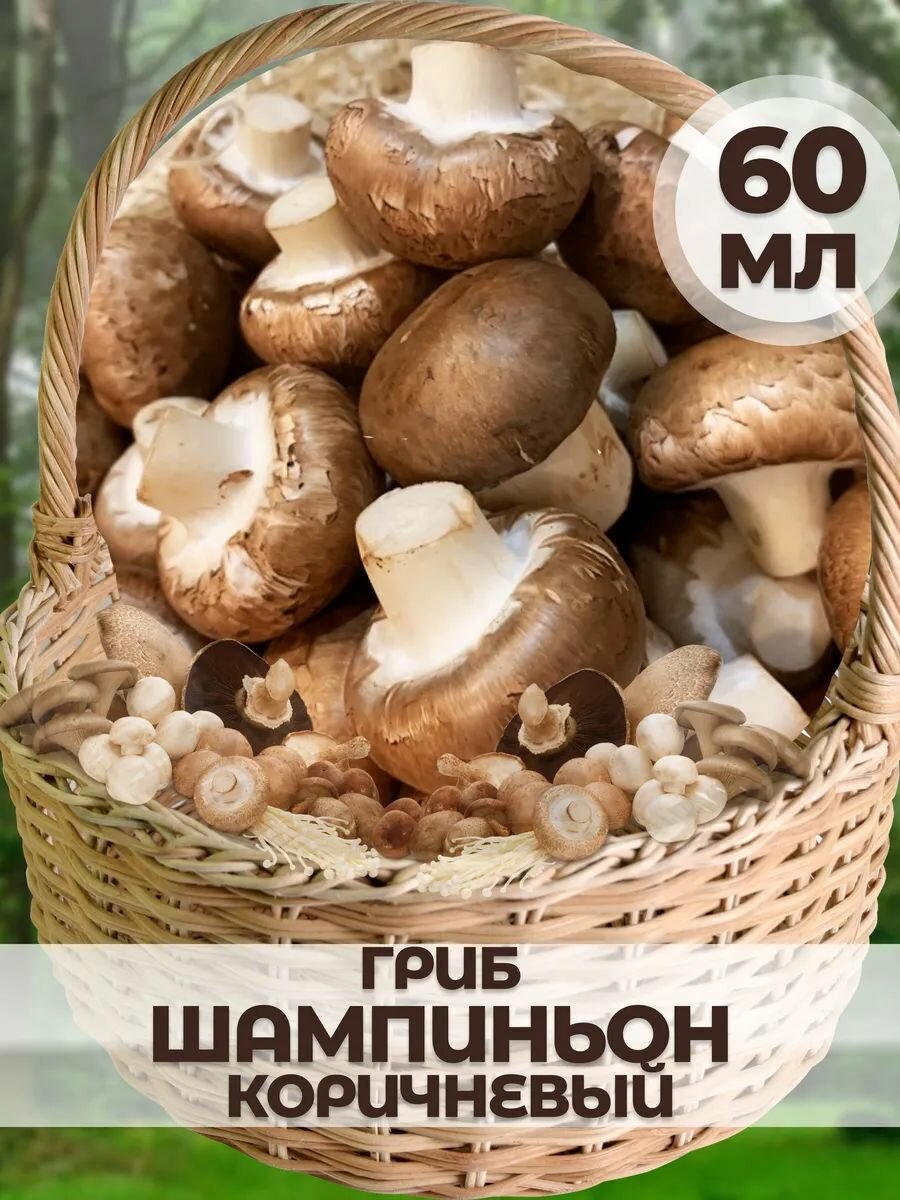 Мицелий гриба 