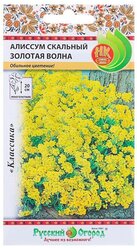 Семена цветов Алиссум "Золотая волна" скальный, серия Русский огород, Мн, 0,1 г