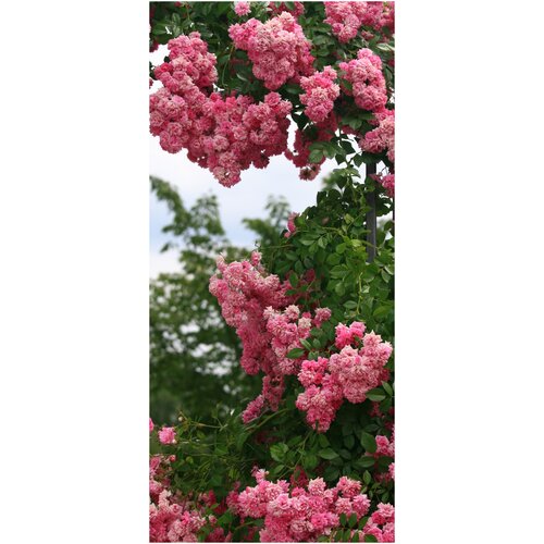 Самоклеящиеся обои 