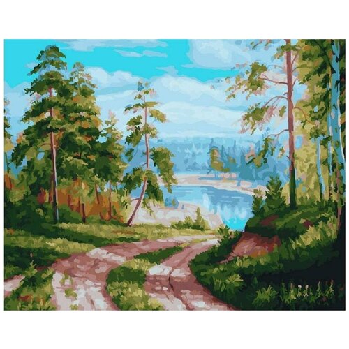 Картина по номерам Дорога к озеру, 40x50 см