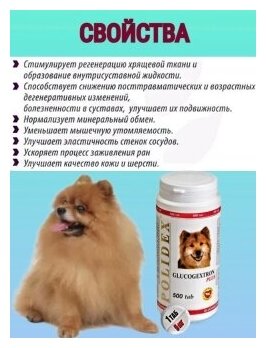 Polidex Глюкогестрон плюс Кормовая добавка для укрепления связок, суставов и хрящей у собак, 60 таблеток - фото №3