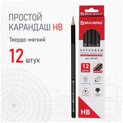 Карандаш чернографитный трехгранный BRAUBERG Black&White, HB, комплект 12 штук, 880426