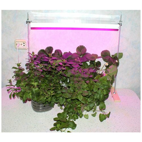 Фитосветильник Солнцедар Фито Д-10 (Светодиодный)