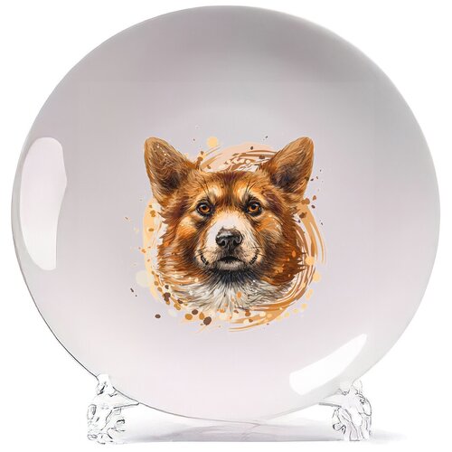 фото Тарелка coolpodarok животные корги
