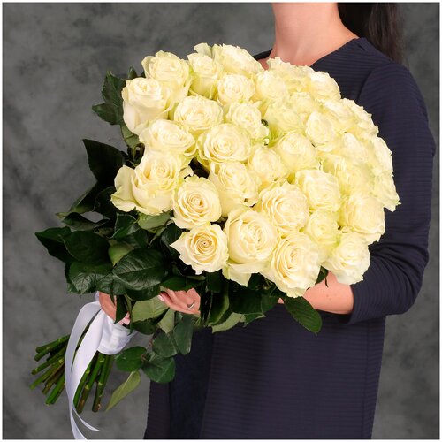 31 белая Эквадорская роза 60см