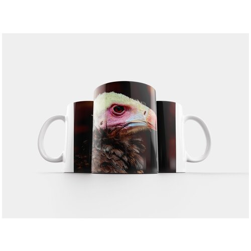 фото Кружка "шерстяные головы стервятников, гриф, птица" 320 мл lotsprints