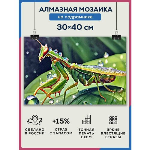 Алмазная мозаика 30x40 Кузнечик на подрамнике