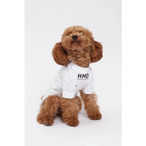 Комплект футболок FAMILY LOOK белый - L