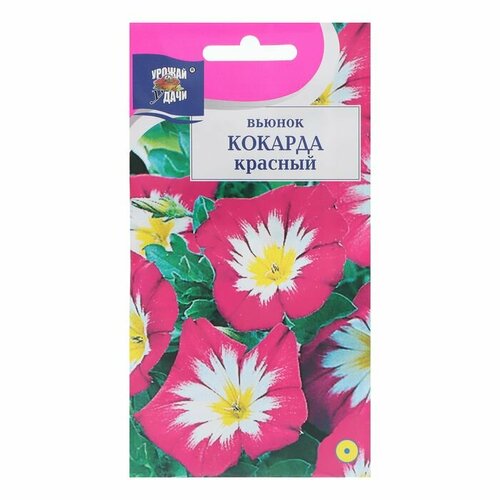 Семена цветов Вьюнок Кокарда, Красный, 0,5 г ( 1 упаковка )