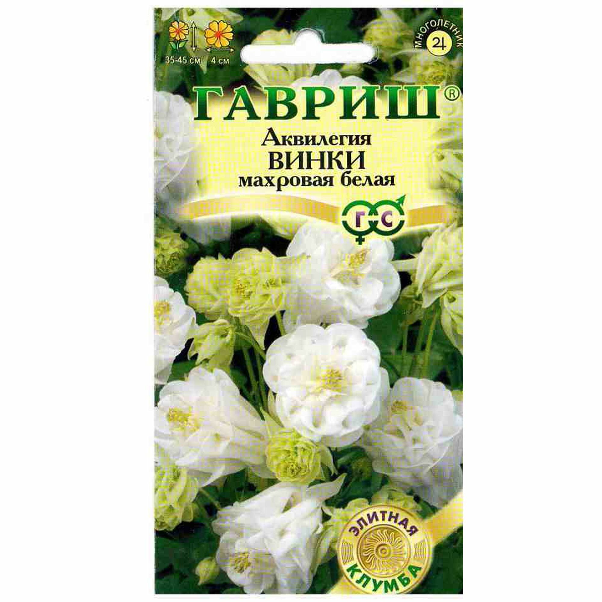 Семена Аквилегия 