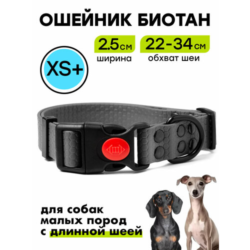 Ошейник из биотана 22-34 см (XS+), 25 мм, Woofy "Iron", для маленьких собак, водостойкий, серый