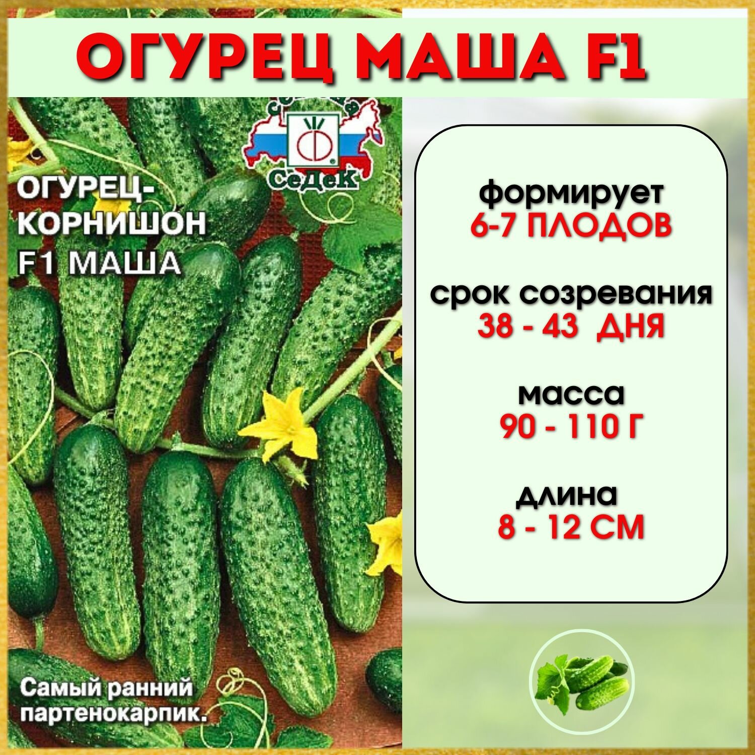 Семена Огурец маша F1 (1 упаковка)