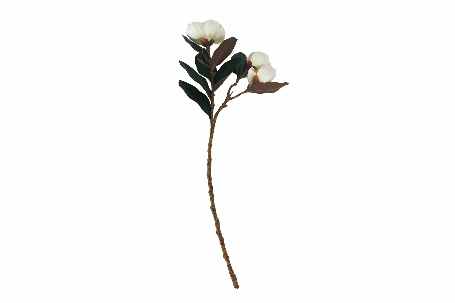 Ветка с цветами магнолии Cote Noire Loose Magnolias white белая 80 см