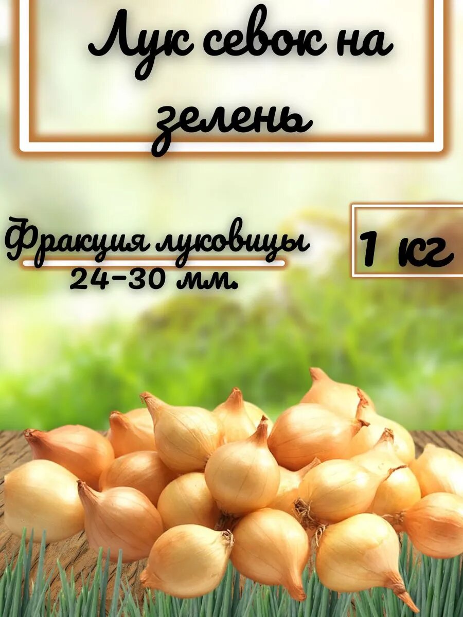 Лук на зелень 1 кг