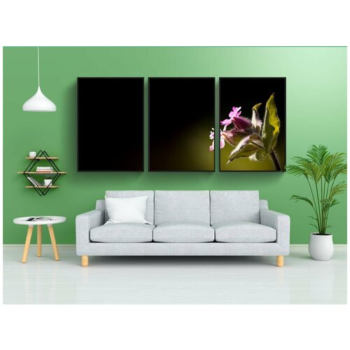 фото Набор модулных постеров для интерьера "красный waldnelke, смолёвка двудомная, гвоздика" 60x90 см. в тубусе, без рамки lotsprints