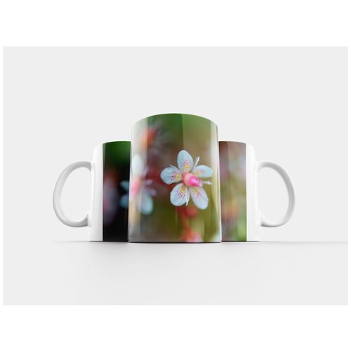 фото Кружка "цветок, натур, весна" 320 мл lotsprints