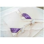 Подушка Sofi de Marko Lavender 50х70 - изображение