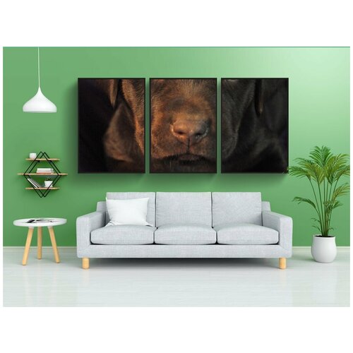 фото Набор модулных постеров для интерьера "щенок, лабрадор, шоколад" 60x90 см. в тубусе, без рамки lotsprints