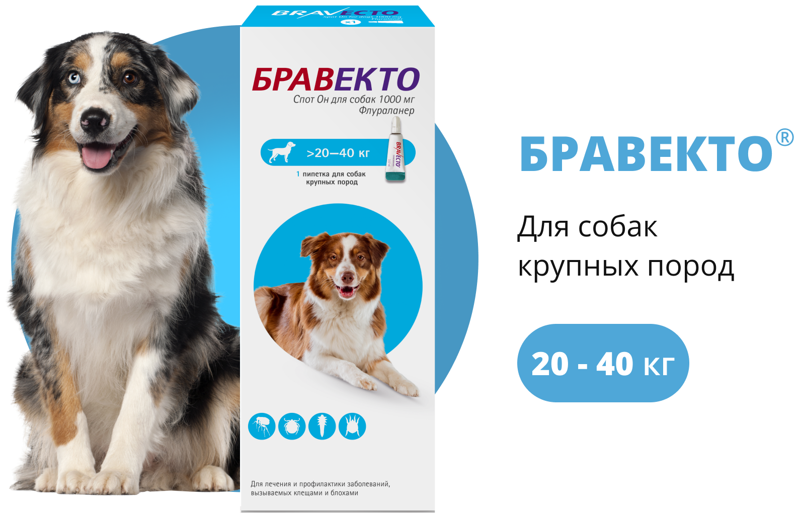 MSD Animal Health  капли от блох и клещей Бравекто Спот Он для собак 20-40 кг 1 шт. в уп., 1 уп.