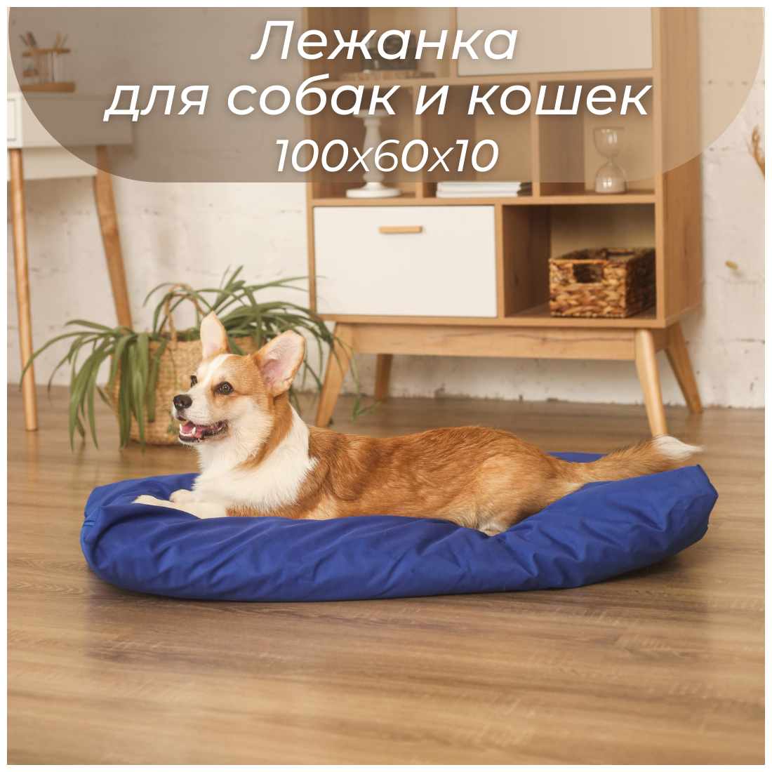 Лежанка антивандальная для собак, лежанка антивандальная для кошек 60х100 - фотография № 1