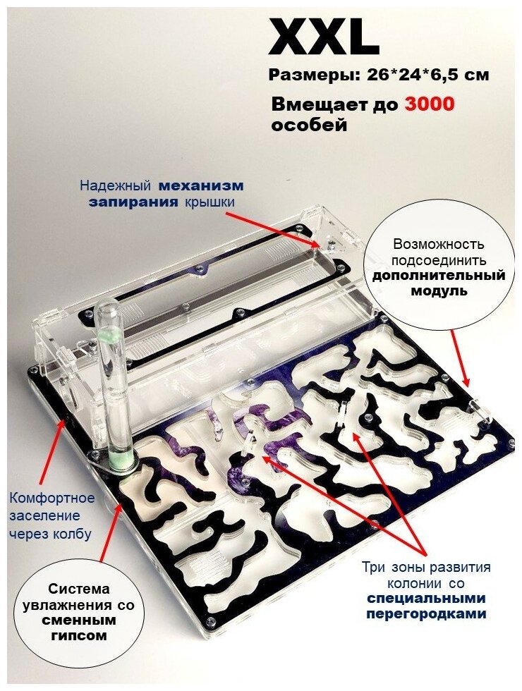 Большая муравьиная ферма "Планета" XXL Люкс 26*24*7см - фотография № 2