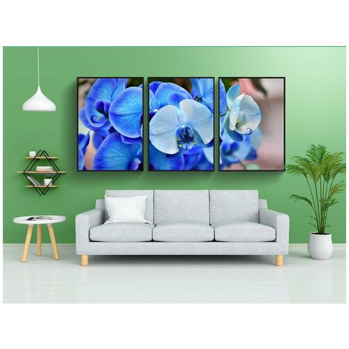 фото Набор модулных постеров для интерьера "орхидеи, орхидея цветок, цвести" 60x90 см. в тубусе, без рамки lotsprints