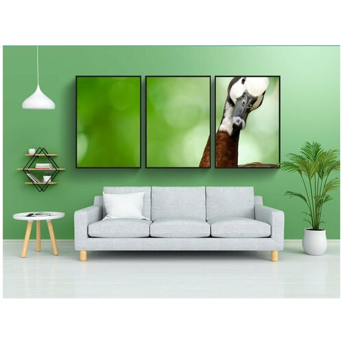 фото Набор модулных постеров для интерьера "гусь, птица, голова" 60x90 см. в тубусе, без рамки lotsprints