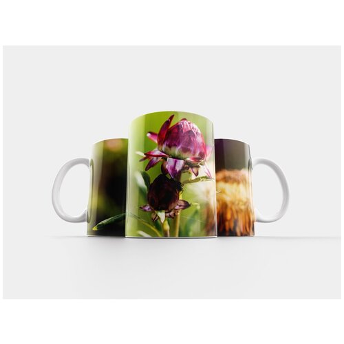 фото Кружка "сад, цветок, природа" 320 мл lotsprints