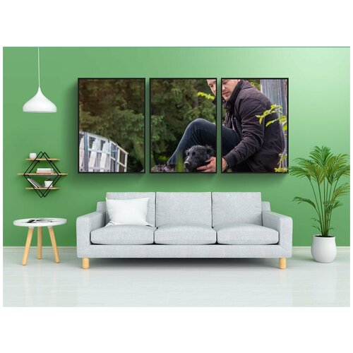 фото Набор модулных постеров для интерьера "мокрая собака, собака, мокрый" 60x90 см. в тубусе, без рамки lotsprints