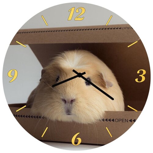 фото Svs настенные часы svs 3002074 хомяк