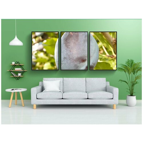 фото Набор модулных постеров для интерьера "слива, фрукты, синий" 60x90 см. в тубусе, без рамки lotsprints