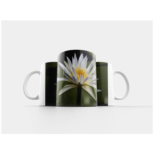 фото Кружка "водяная лилия, пруд, замбези" 320 мл lotsprints