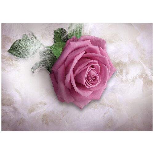 Сиреневая роза в пуху - Виниловые фотообои, (211х150 см)