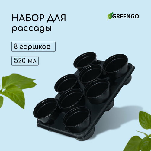 Набор для рассады: стаканы по 520 мл (8 шт.), поддон 40 × 30 см, чёрный,