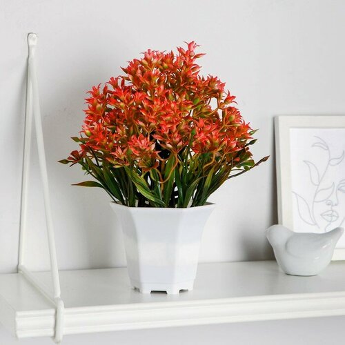 SUI Бонсай в горшке Очиток 11х21 см микс 989₽