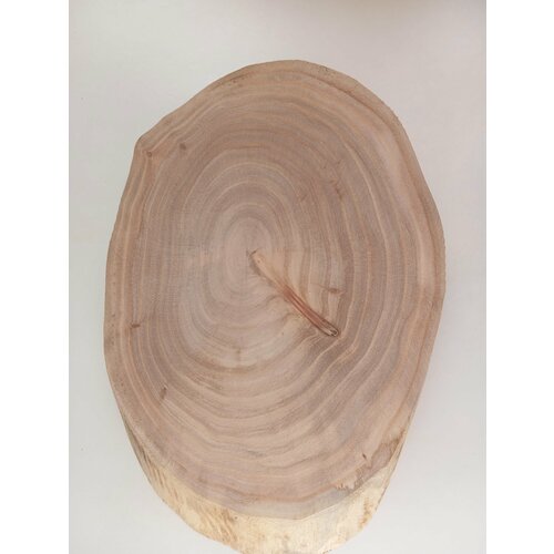 Спил дерева карагач , подставка, заготовка 26/17/3,0см