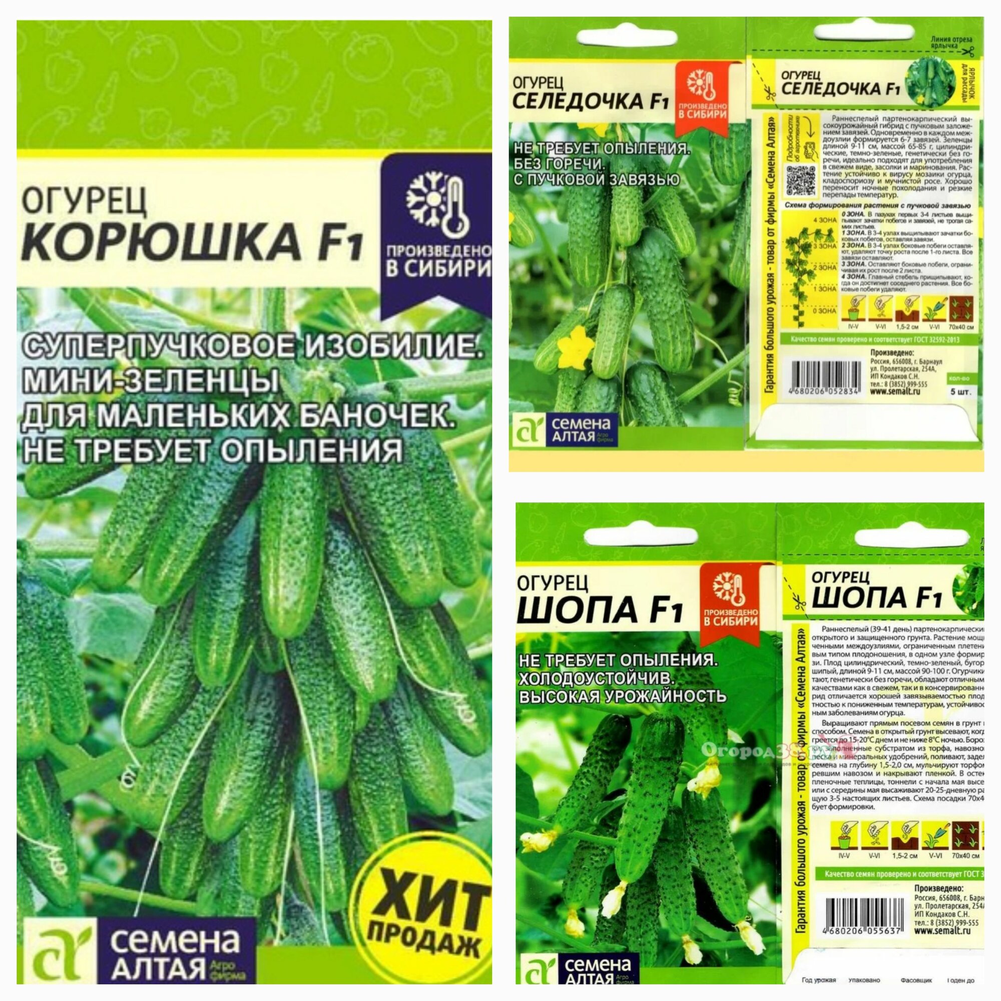 Набор лучших ранних сортов огурцов! Корюшка, Шопа, Селедочка. 3 уп. Сем. Алт.