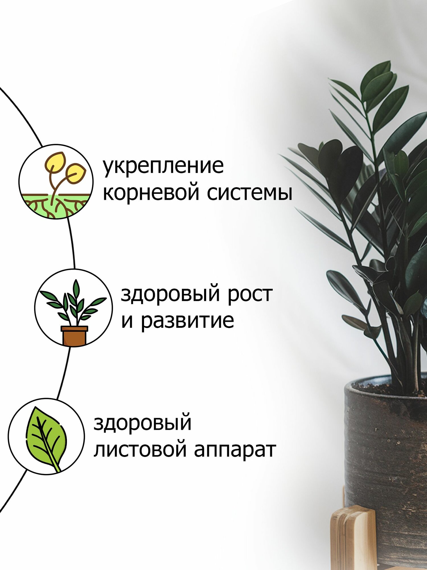 Изображение Почвогрунт Prеmium для замиокулькаса и толстянки Пуршат 20 л